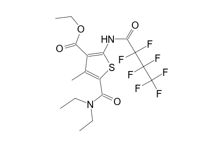 ethyl 5-[(diethylamino)carbonyl]-2-[(2,2,3,3,4,4,4-heptafluorobutanoyl)amino]-4-methyl-3-thiophenecarboxylate