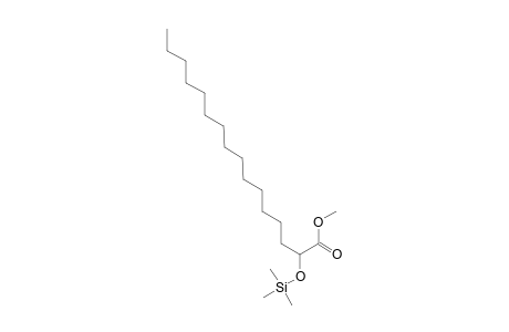 Hexadecanoic acid, 2-[(trimethylsilyl)oxy]-, methyl ester