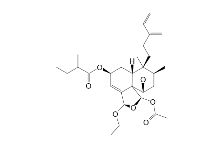 CASEABALANSIN_D;REL-(2-S,5-R,6-R,8-S,9-S,10-R,18-S,19-R)-19-ACETOXY-18-ETHOXY-18,19-EPOXY-2-(2-ZETA-METHYLBUTANOYLOXY)-CLERODA-3,13-(16),14-TRIEN-