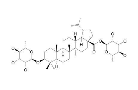 28-O-BETA-D-GLUCOPYRANOSYLBETULINIC_ACID_3-BETA-O-ALPHA-L-RHAMNOPYRANOSIDE