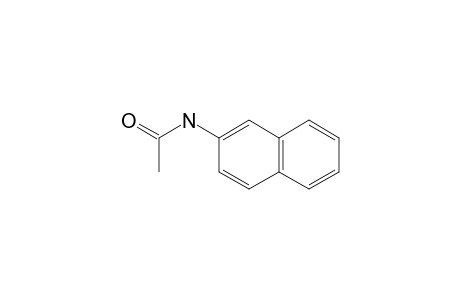 ACETAMIDE, N-/2-NAPHTHYL/-,