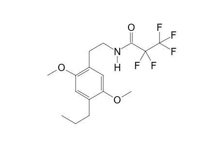 2C-P PFP