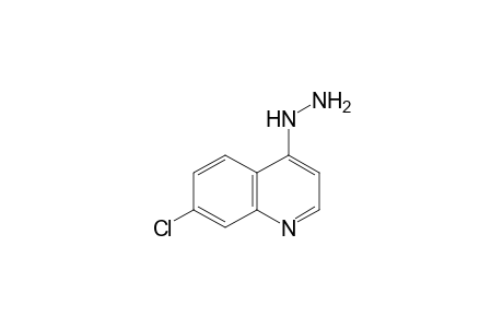 7-Chloro-4-hydrazinoquinoline