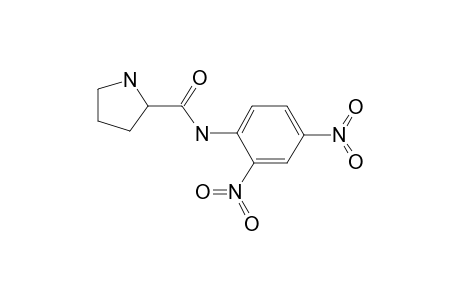 Pyrolinamide, N-[2,4-dinitrophenyl]-