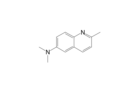 6-(dimethylamino)quinaldine