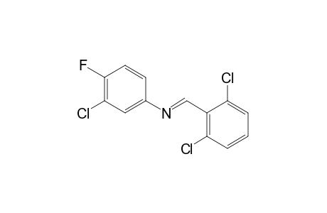 3-chloro-N-(2,6-dichlorobenzylidene)-4-fluoroaniline