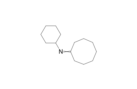 N-Cyclooctylidenecyclohexanamine