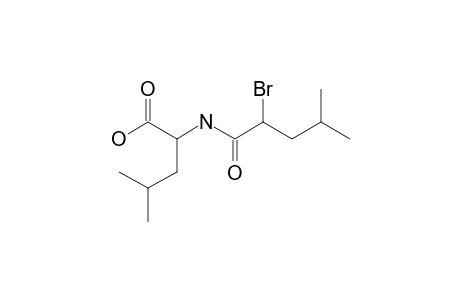 DL-N-(2-bromo-4-methylvaleryl)leucine