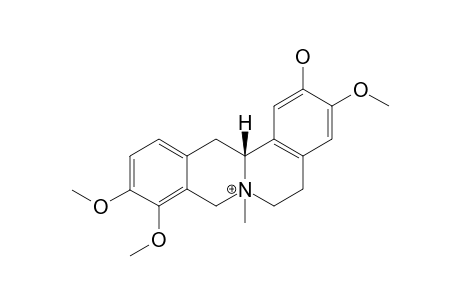 N-METHYLTETRAHYDROCOLUMBAMINE