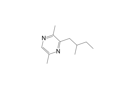 2,5-Dimethyl-3-(2-methylbutyl)pyrazine