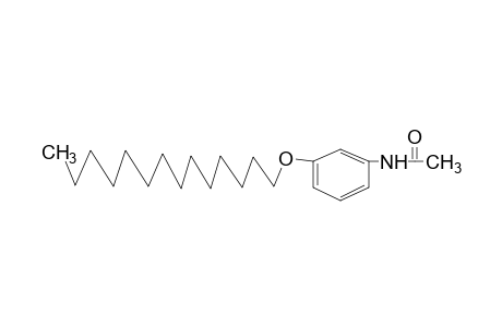 3'-(tetradecyloxy)acetanilide