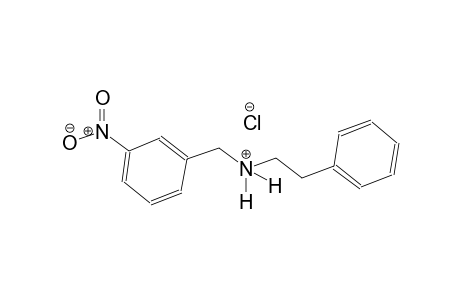 benzeneethanaminium, N-[(3-nitrophenyl)methyl]-, chloride