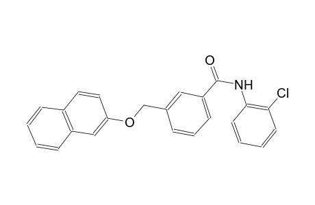 N-(2-chlorophenyl)-3-[(2-naphthyloxy)methyl]benzamide