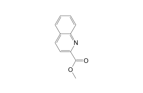 2-Quinolinecarboxylic acid methyl ester