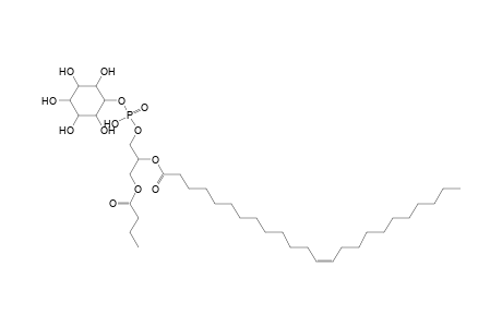 PI 4:0_24:1