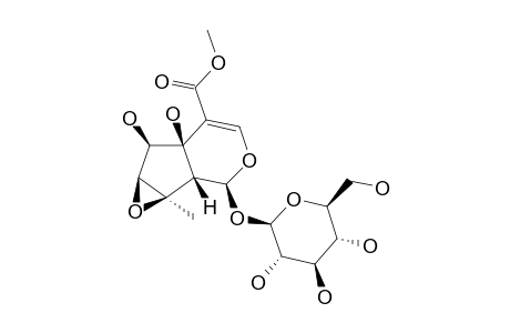 SESAMOSIDE