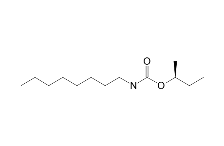 (S)-(+)-N-octyl-2-butyl carbamate