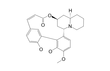 VERTICILLATINE