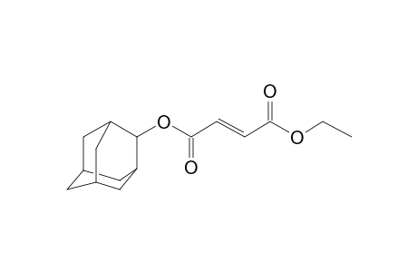 Fumaric acid, 2-adamantyl ethyl ester