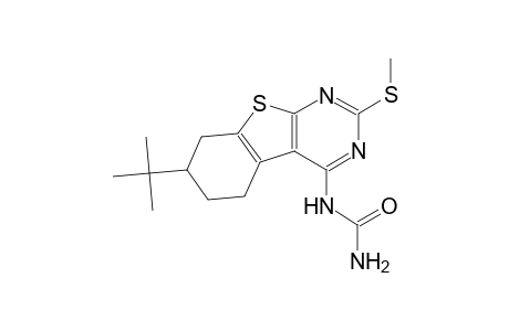 N-[7-tert-butyl-2-(methylsulfanyl)-5,6,7,8-tetrahydro[1]benzothieno[2,3-d]pyrimidin-4-yl]urea