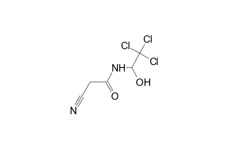 2-cyano-N-(1-hydroxy-2,2,2-trichloroethyl)acetamide