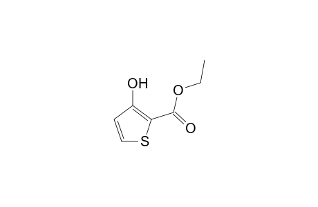 Ethyl 3-hydroxythiophen-2-carboxylate