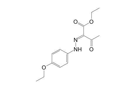 2,3-dioxobutyric acid, ethyl ester, 2-(p-ethoxyphenyl)hydrazone