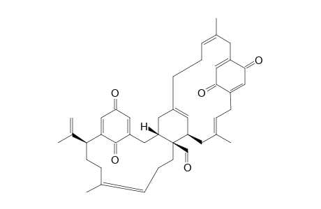 LONGITHORONE_E