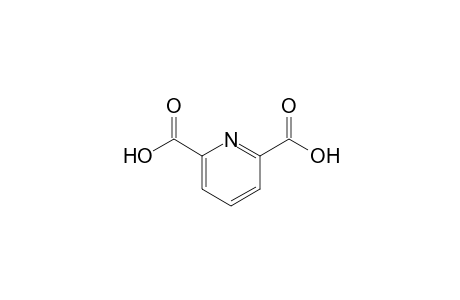 2,6-Pyridine dicarboxylic acid