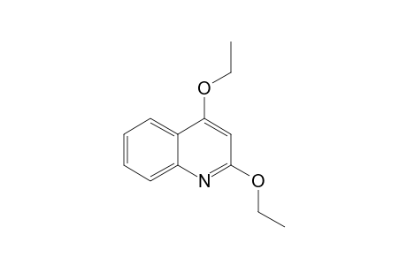 2,4-DIETHOXYQUINOLINE