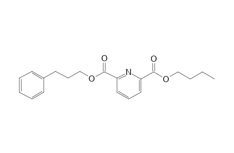 2,6-Pyridinedicarboxylic acid, butyl 3-phenylpropyl ester