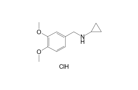 N-cyclopropylveratrylamine, hydrochloride