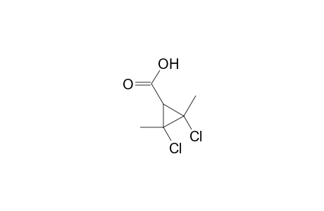 2,3-Dichloro-2,3-dimethylcyclopropanecarboxylic acid