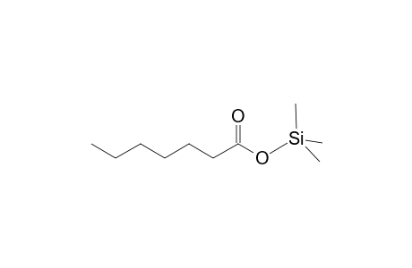 Heptanoic acid TMS