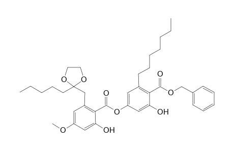 Benzyl 4-O-methylhyperolivetorate - ethylene acetal