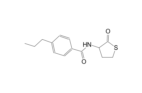 N-(2-oxotetrahydro-3-thienyl)-4-propylbenzamide