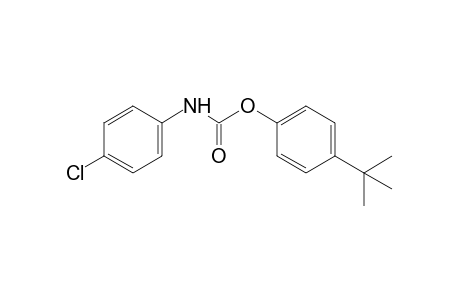 p-chlorocarbanilic acid, p-tert-butylphenyl ester