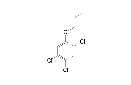 2,4,5-Trichlorophenol, N-propyl ether