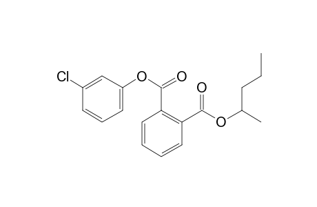 Phthalic acid, 3-chlorophenyl 2-pentyl ester