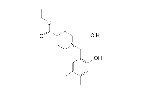 1-(4,5-dimethylsalicyl)isonipecotic acid, ethyl ester, hydrochloride