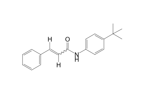 4'-Tert-butylcinnamanilide