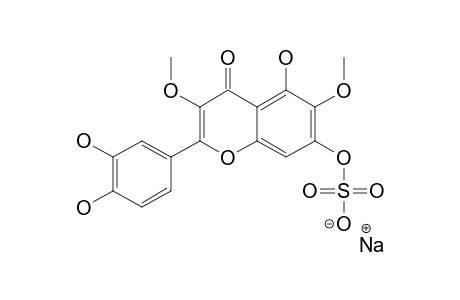 CENTARADIXIN;AXILLARIN-7-SULPHATE-SODIUM-SALT