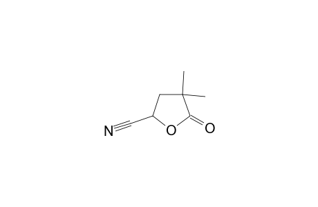 5-keto-4,4-dimethyl-tetrahydrofuran-2-carbonitrile