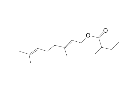 Geranyl 2-methyl butanoate