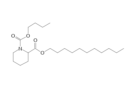 Pipecolic acid, N-butoxycarbonyl-, undecyl ester