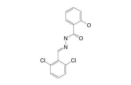 salicylic acid, (2,6-dichlorobenzylidene)hydrazide