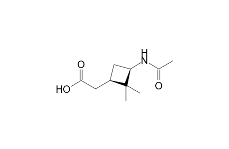 2-(3-acetamido-2,2-dimethyl-cyclobutyl)acetic acid