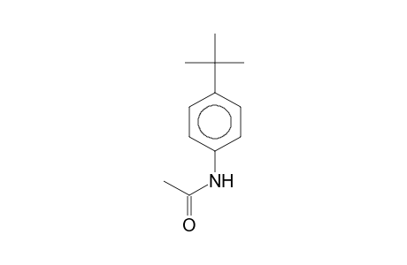 p-tert-BUTYLACETANILIDE