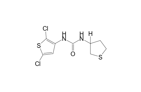1-(2,5-dichloro-3-thienyl)-3-(tetrahydro-3-thienyl)urea