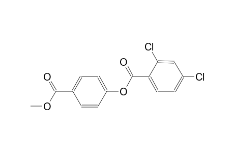 4-(Methoxycarbonyl)phenyl 2,4-dichlorobenzoate